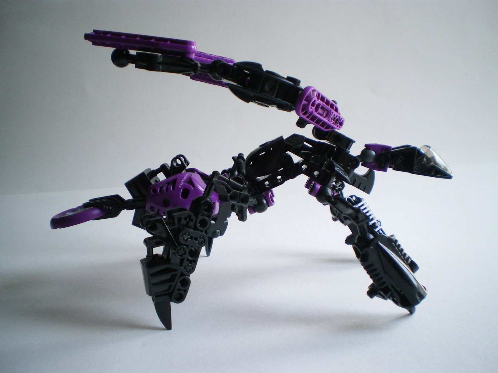 imgp3296.jpg
