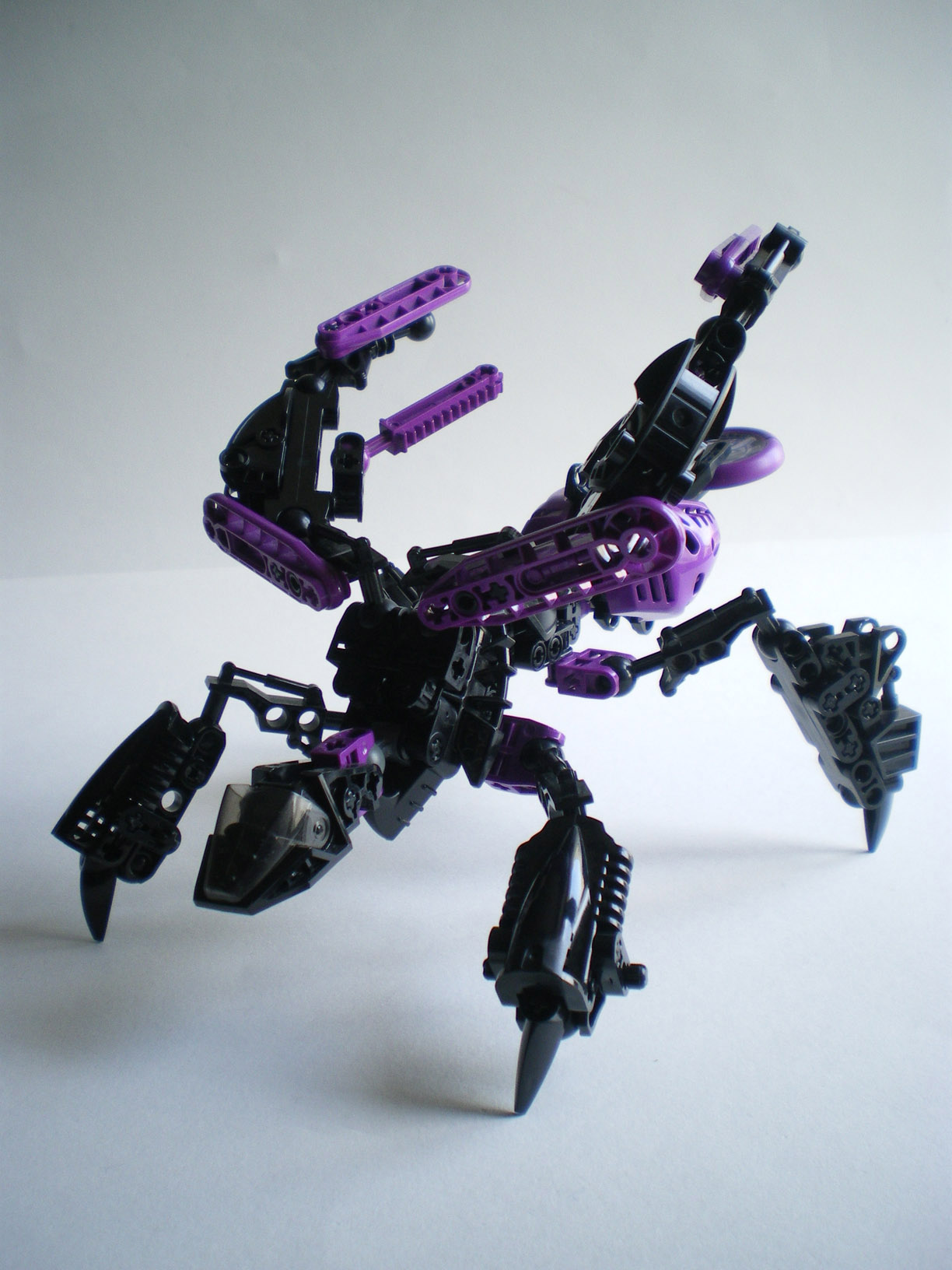 imgp3303.jpg