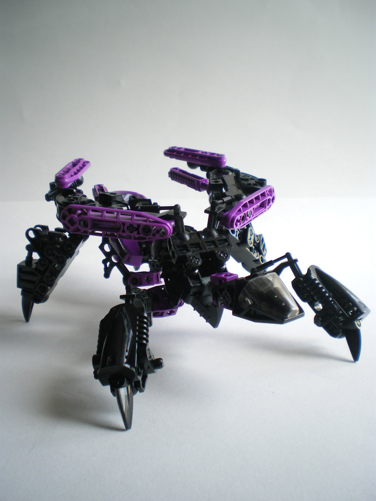 imgp3308.jpg