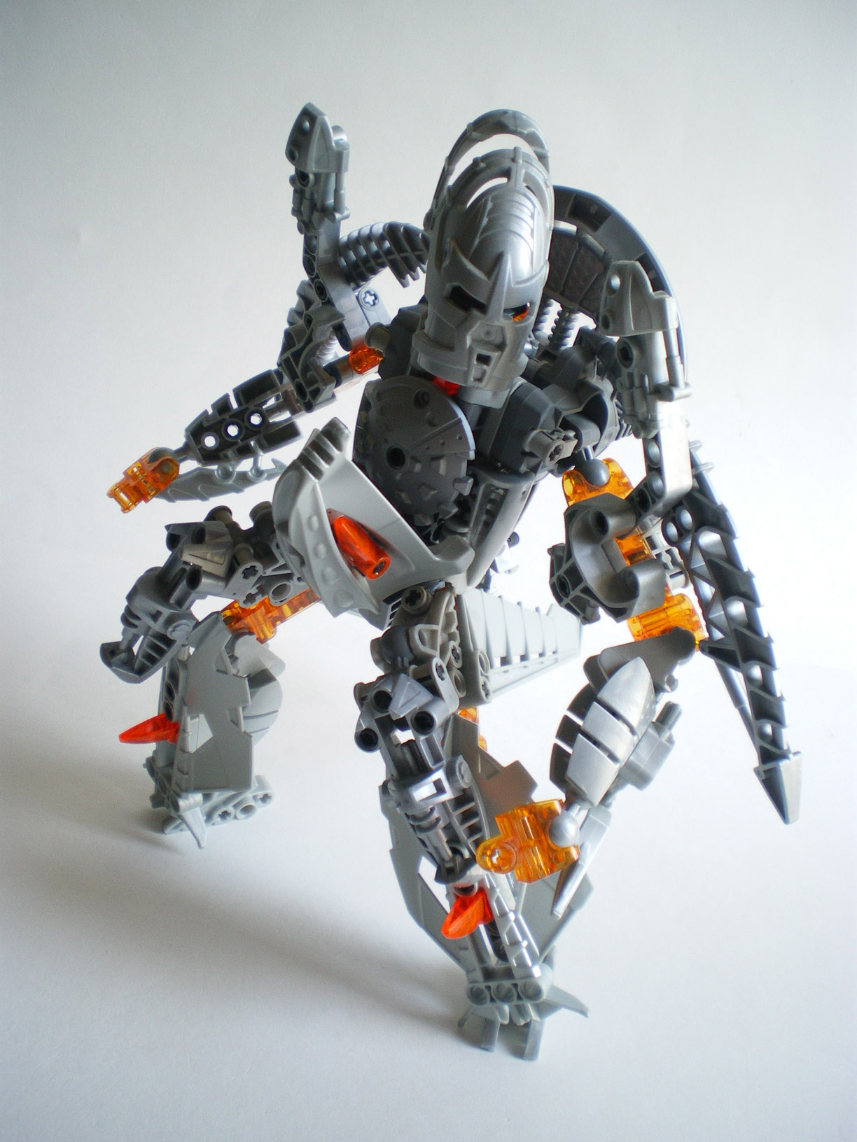 imgp1317.jpg