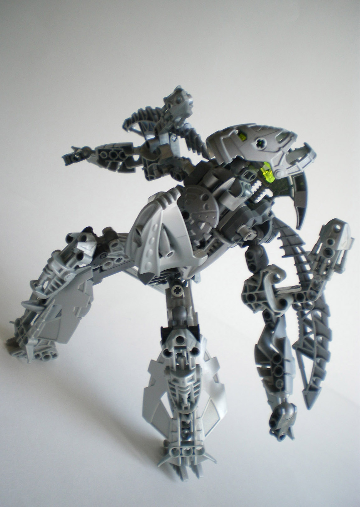 imgp9550.jpg