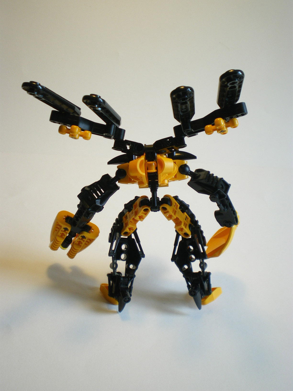 imgp1070.jpg