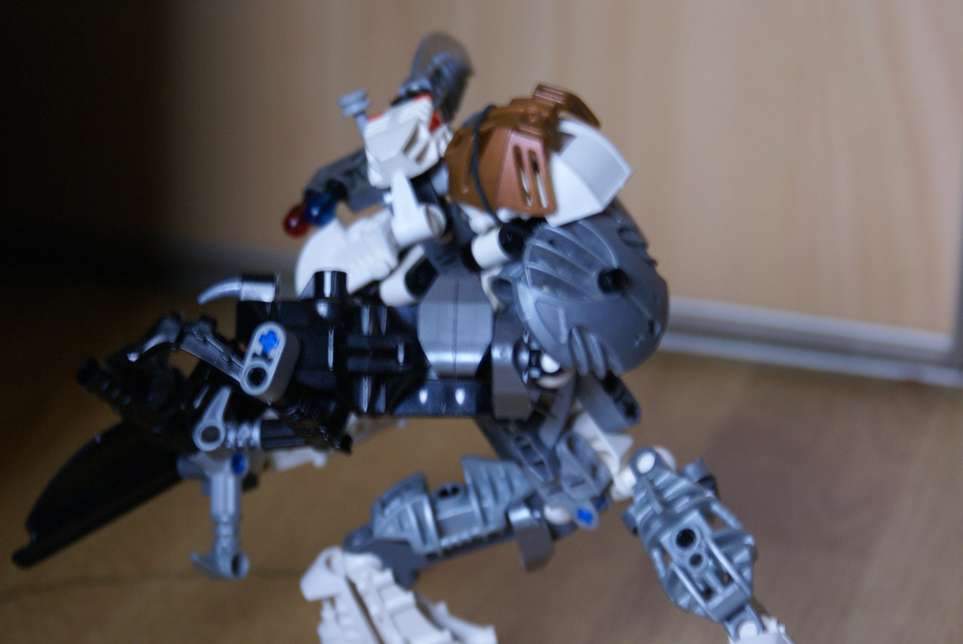 dsc01417.jpg