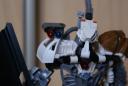 dsc01415.jpg