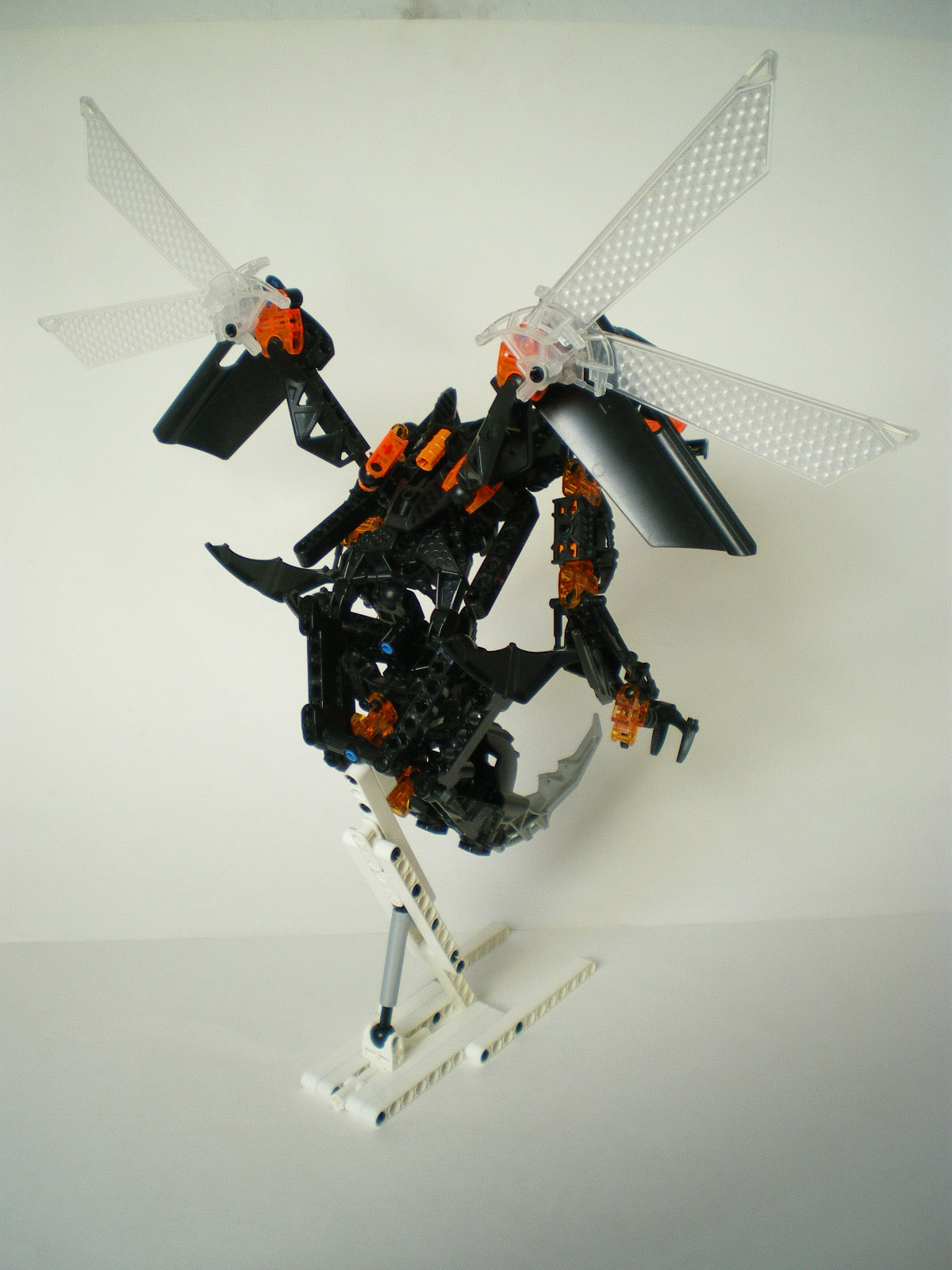 imgp2990.jpg