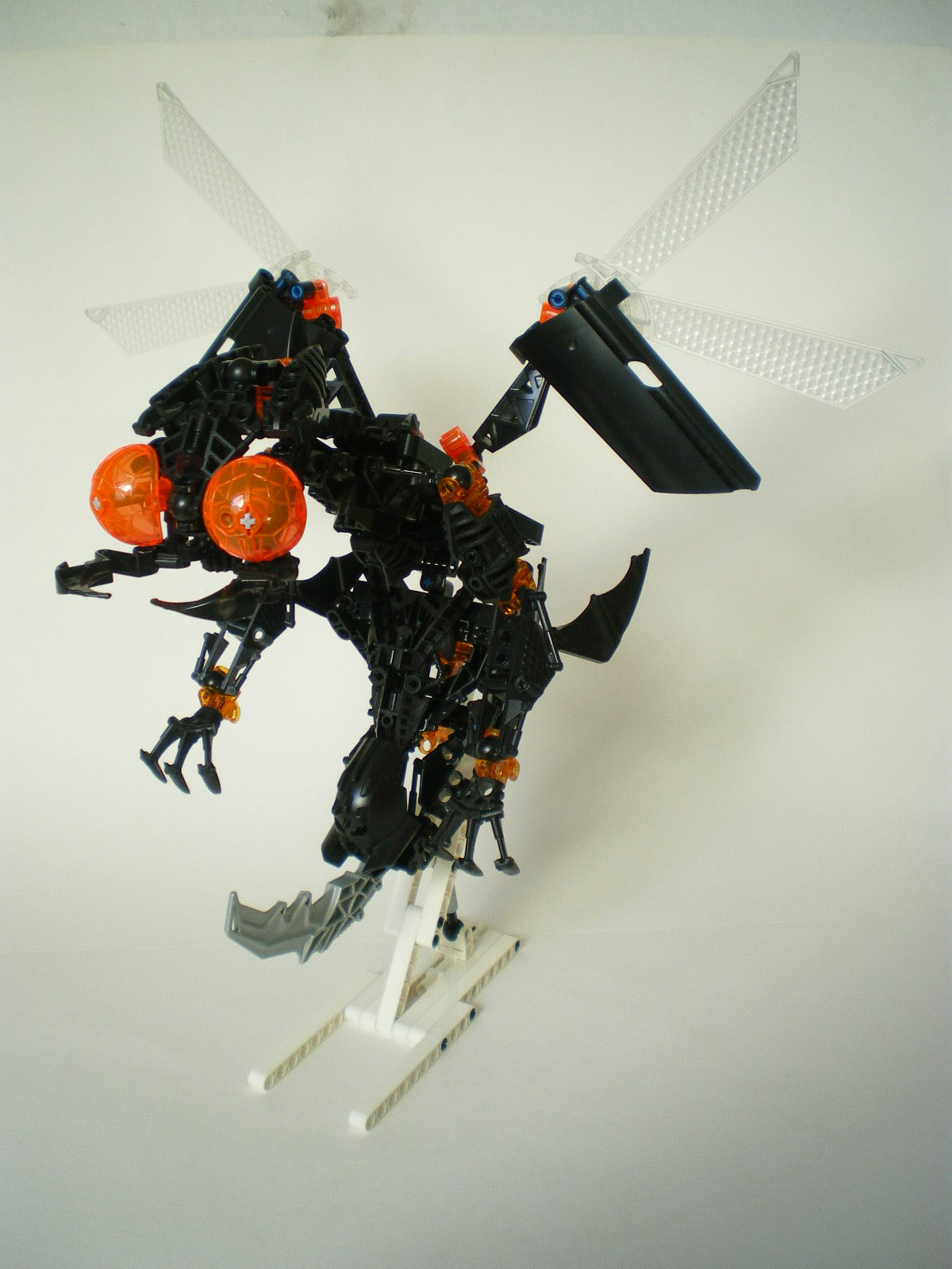imgp2995.jpg