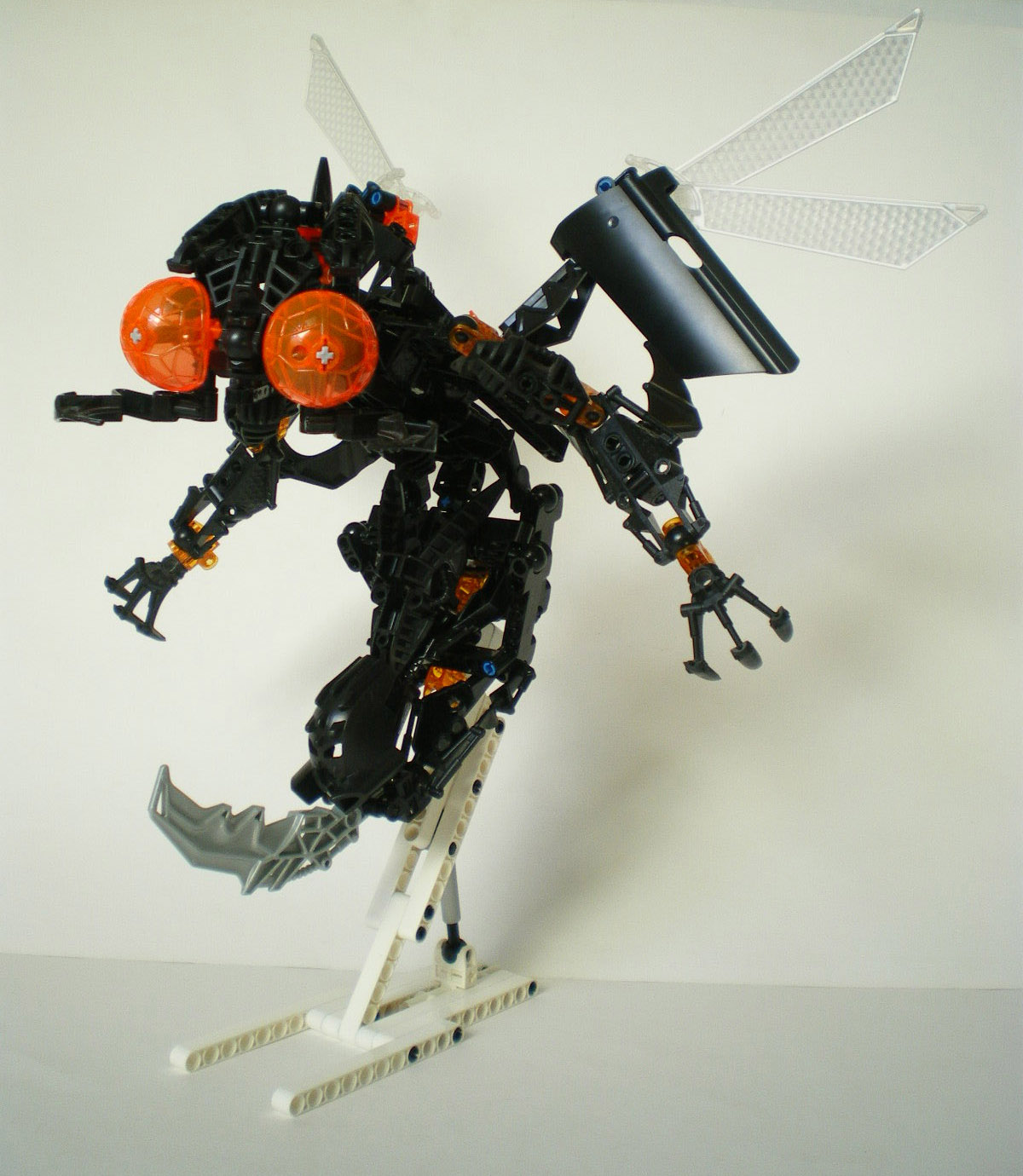 imgp2998.jpg