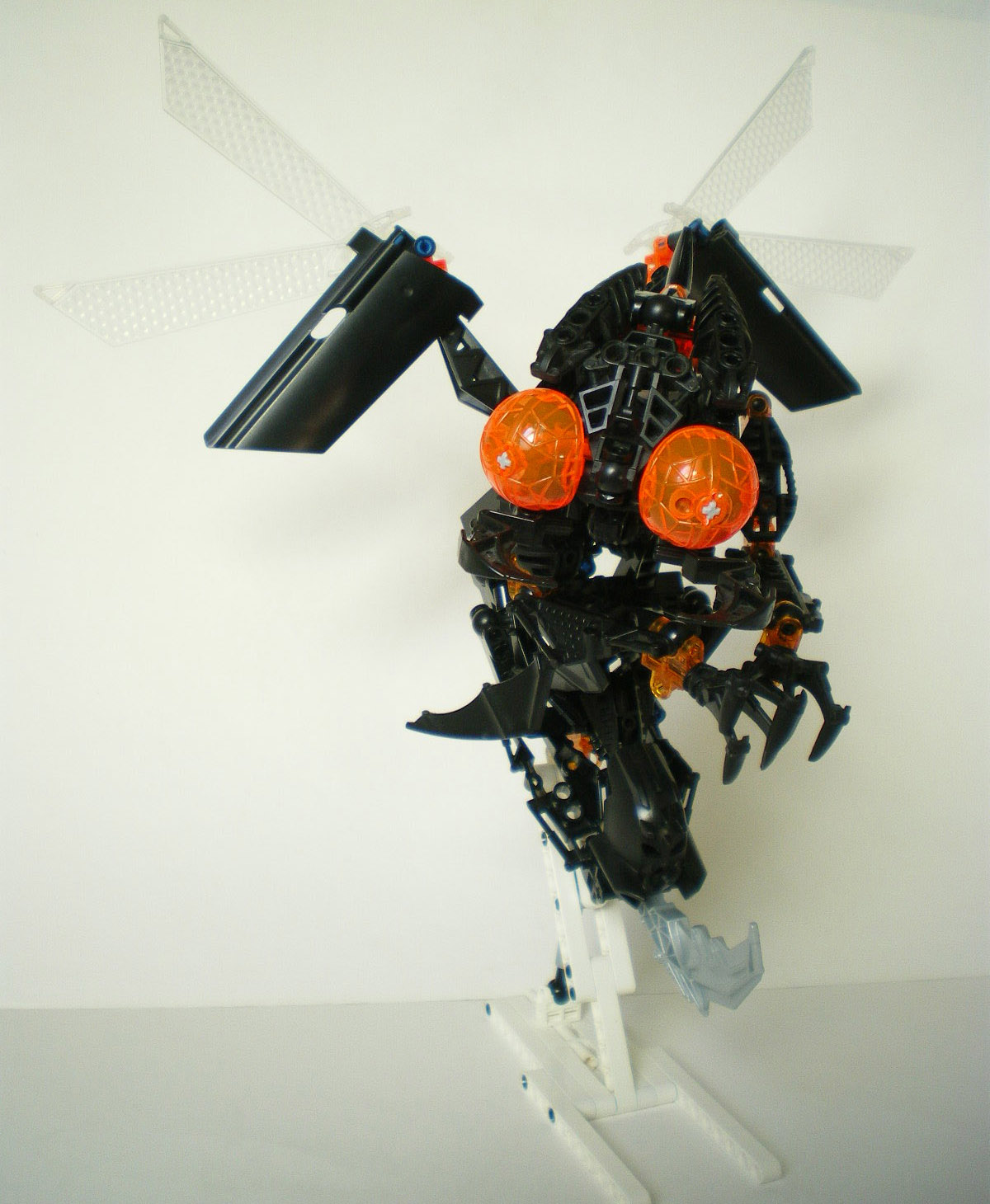 imgp3000.jpg
