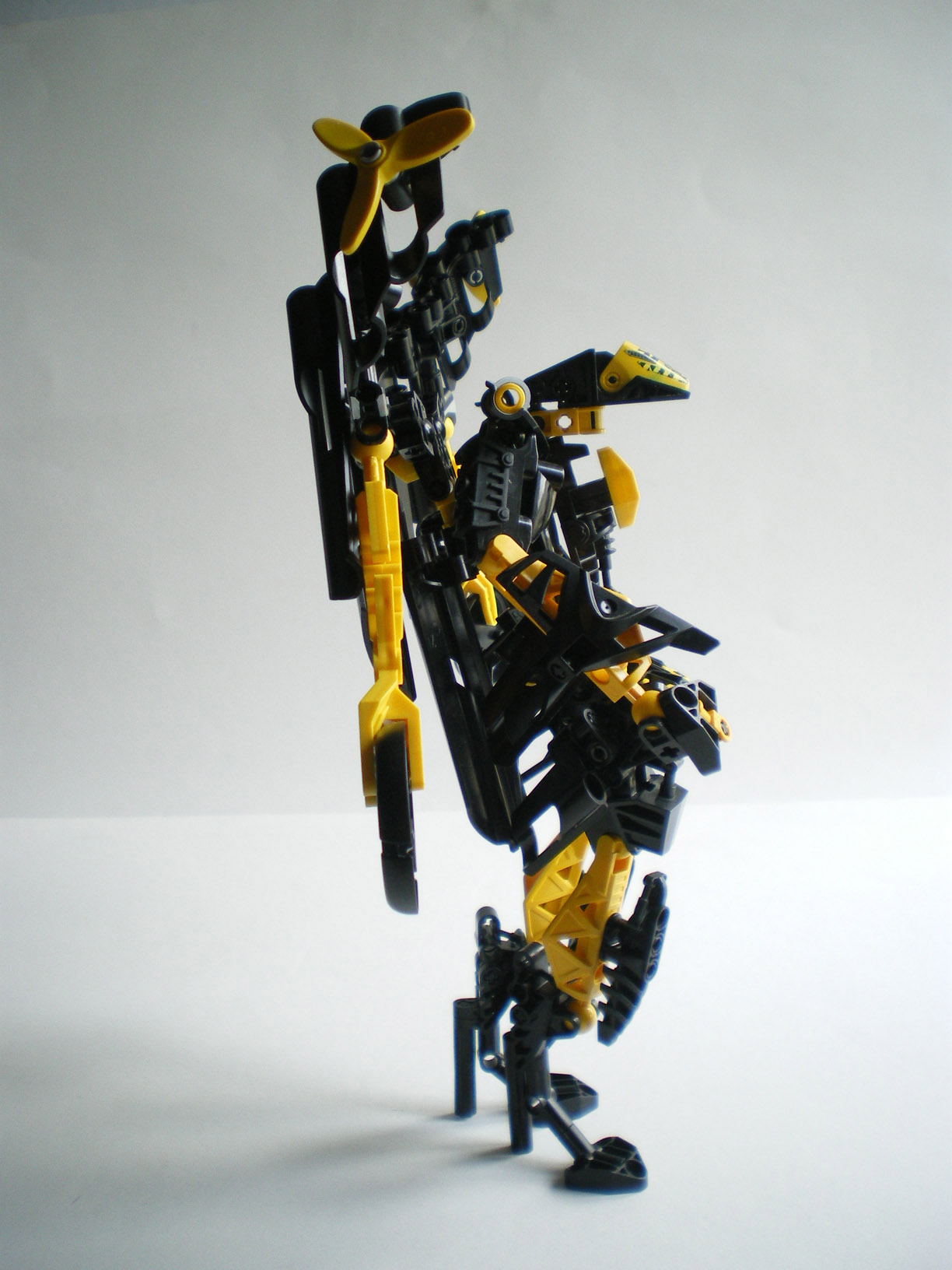 imgp3417.jpg