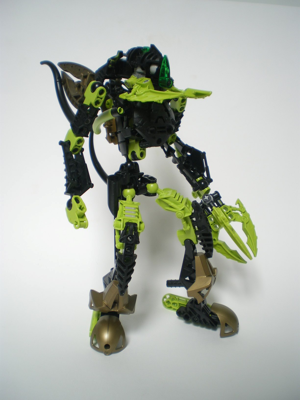 imgp6561.jpg