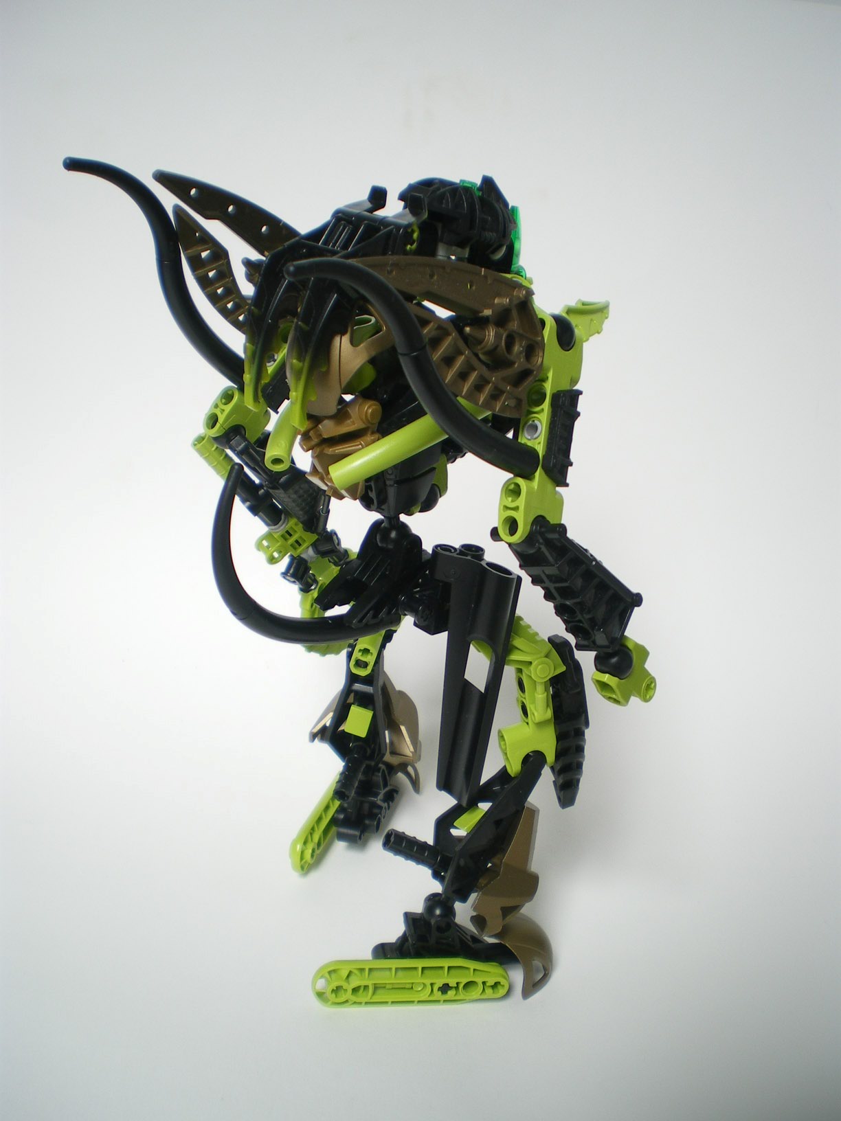 imgp6563.jpg