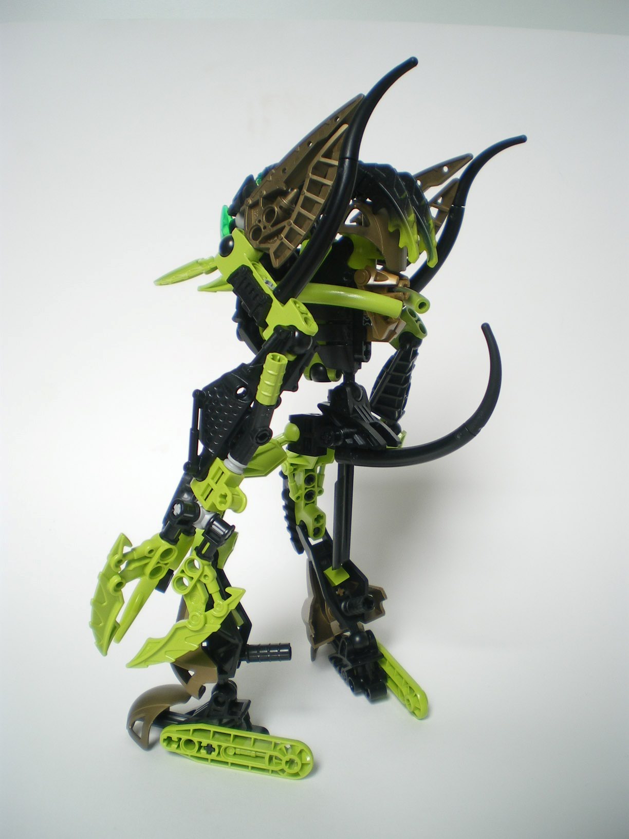 imgp6566.jpg