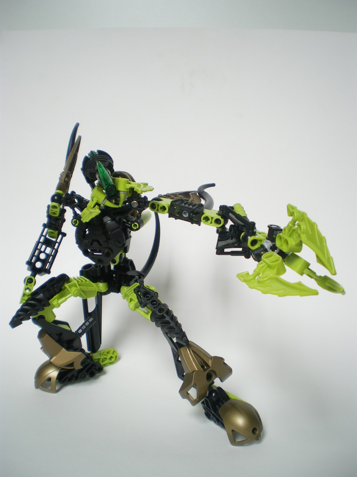 imgp6575.jpg