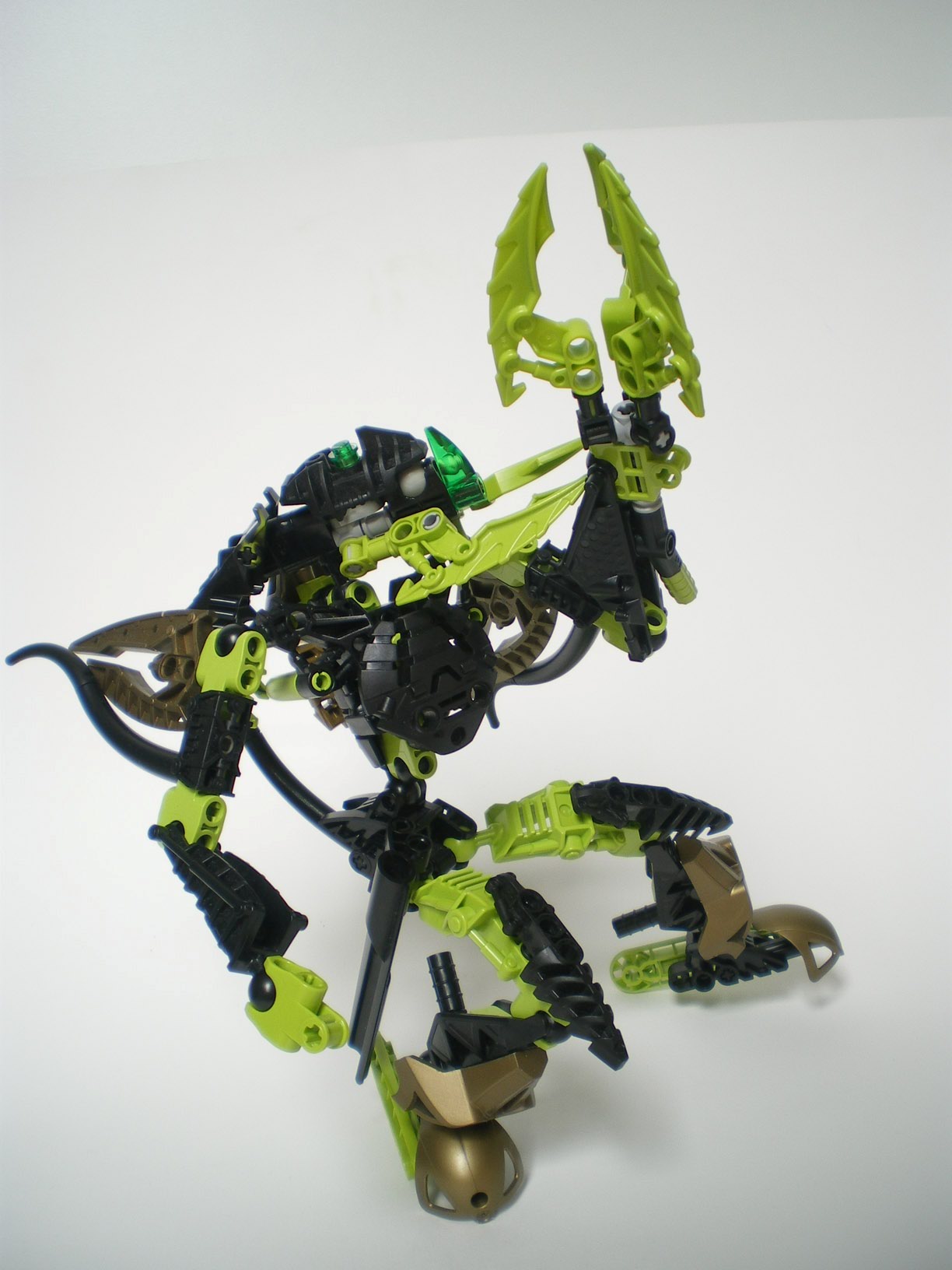 imgp6584.jpg