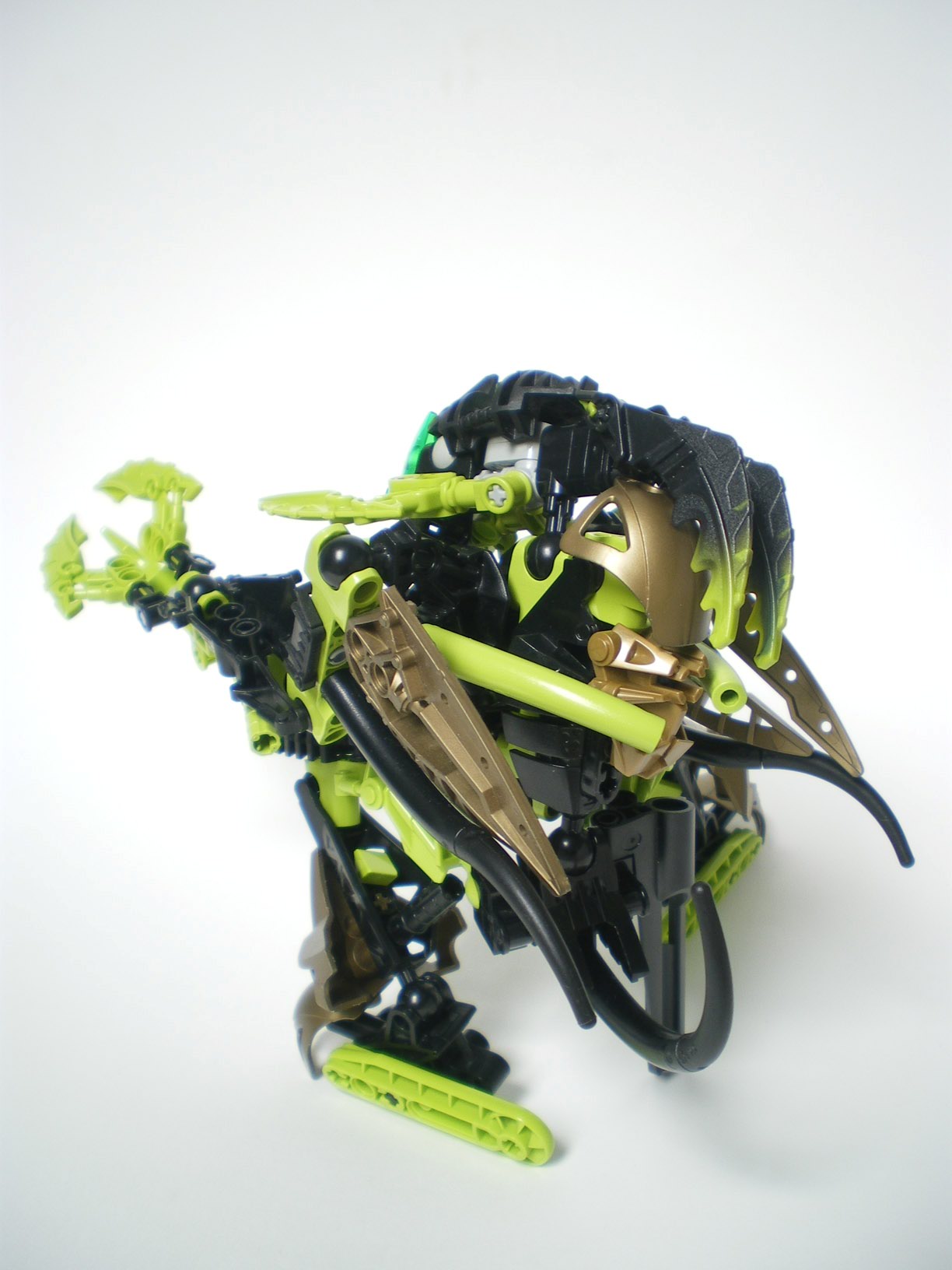 imgp6593.jpg