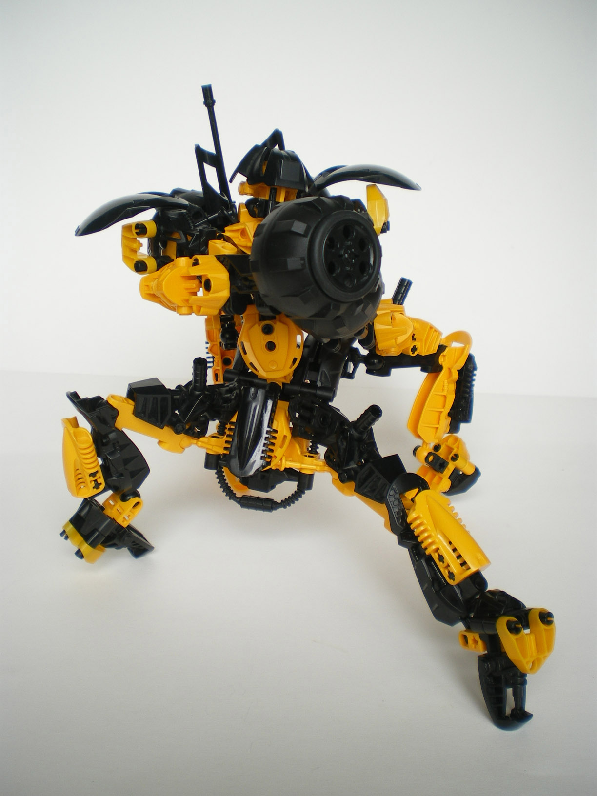 imgp5503.jpg