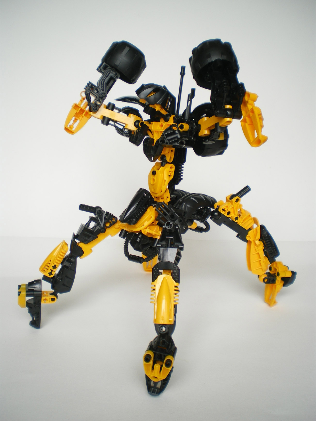 imgp5506.jpg