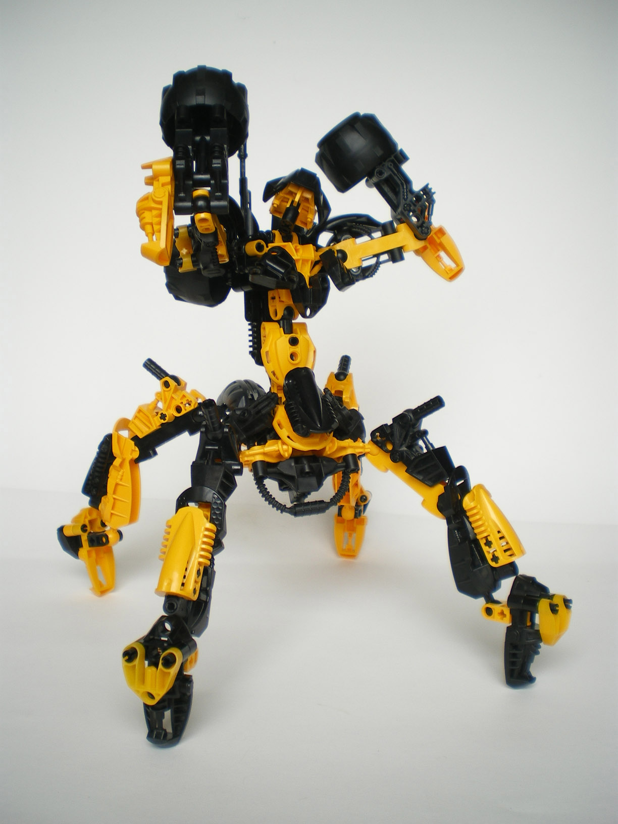 imgp5507.jpg