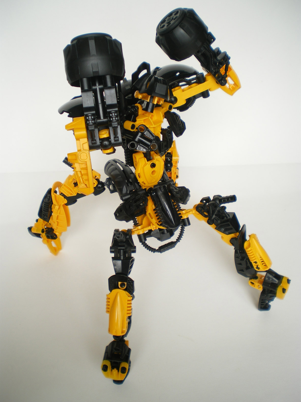 imgp5508.jpg
