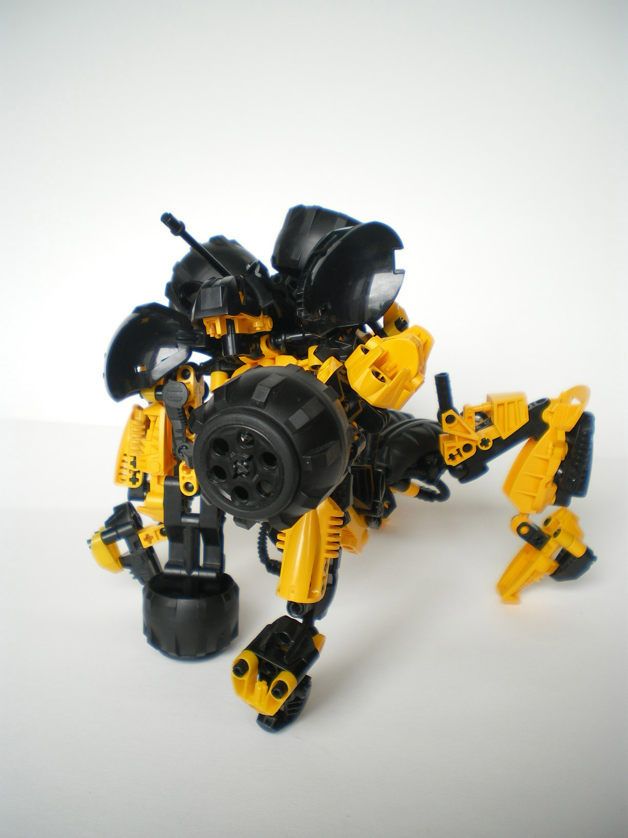 imgp5509.jpg