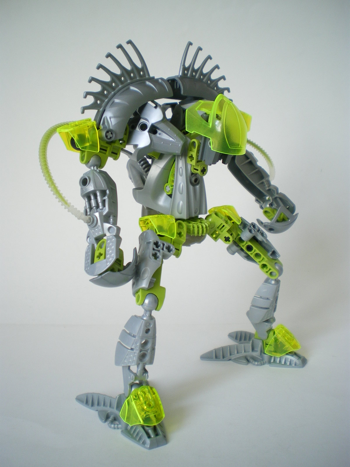 imgp4075.jpg