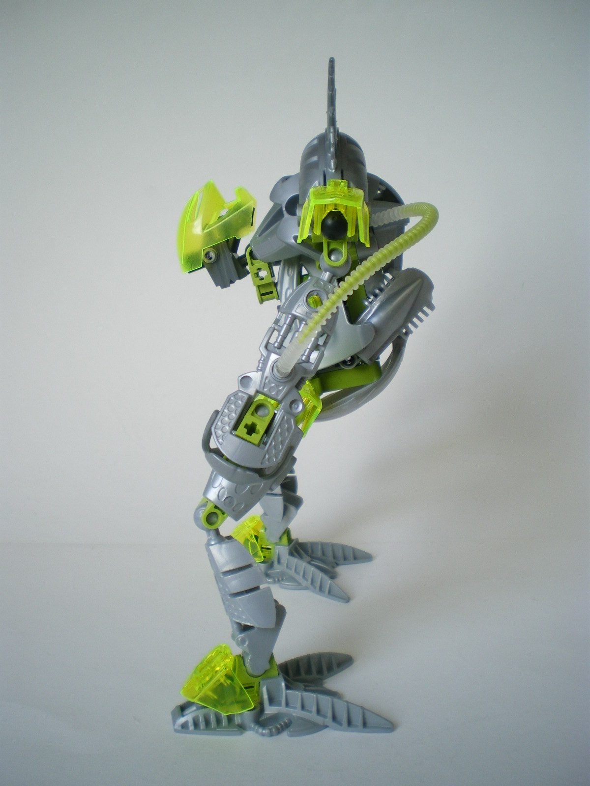 imgp4080.jpg