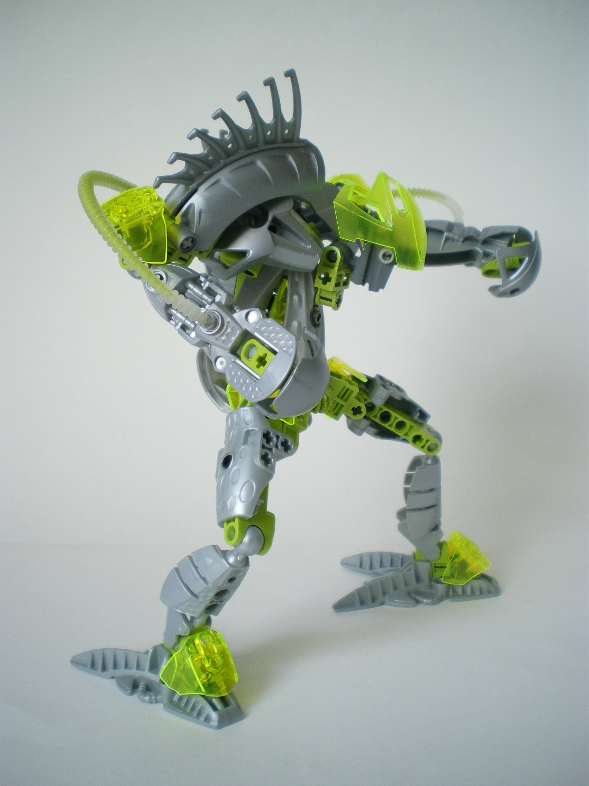 imgp4084.jpg