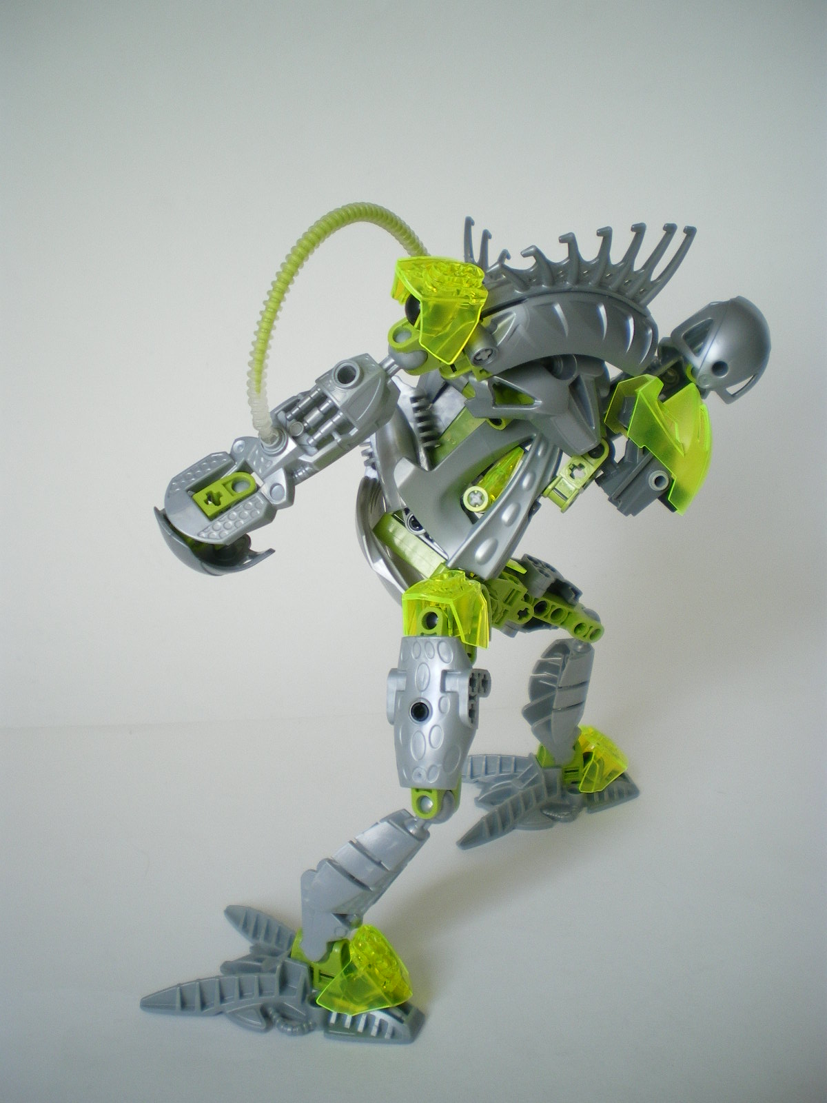imgp4086.jpg