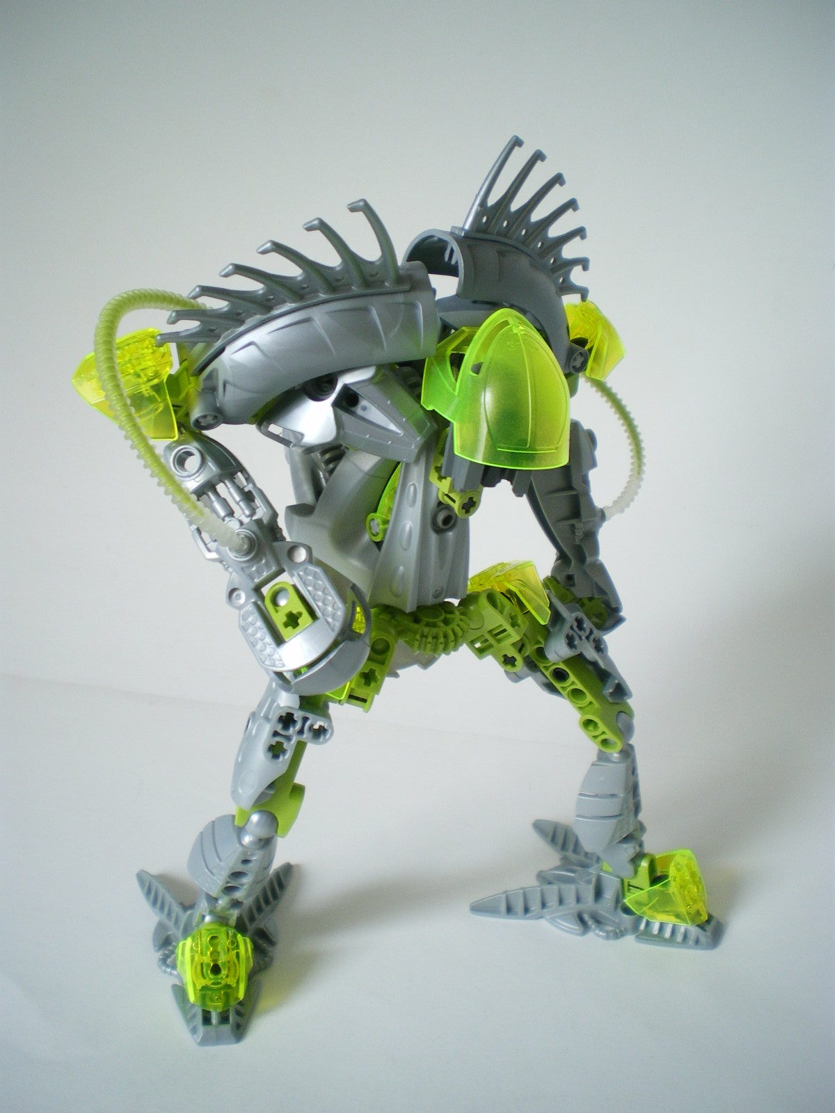 imgp4099.jpg