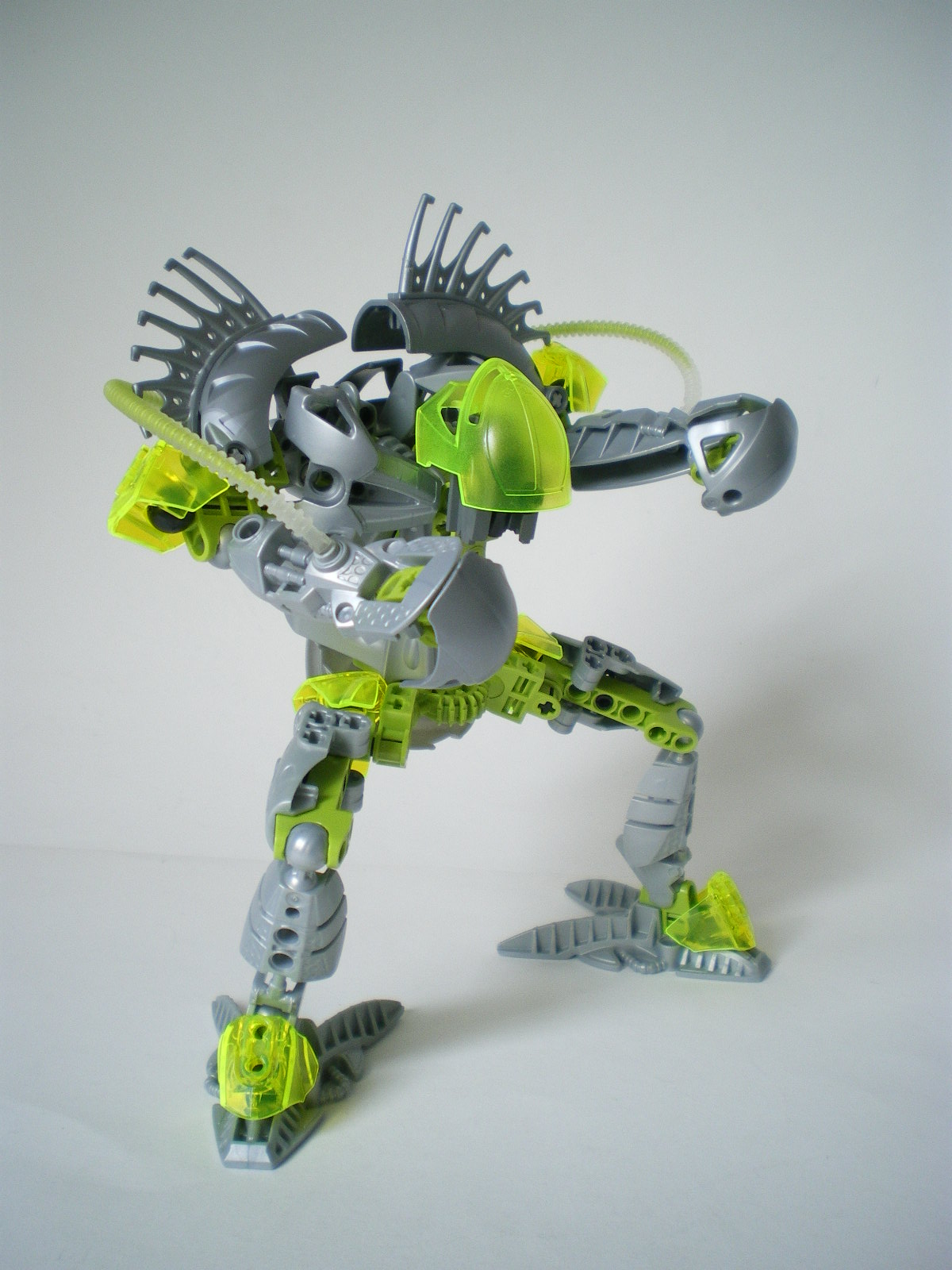 imgp4100.jpg