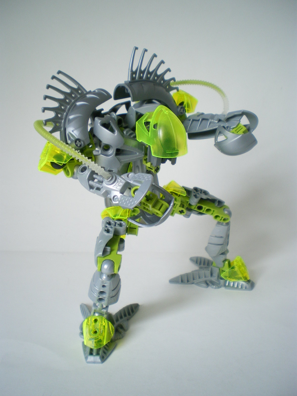 imgp4101.jpg