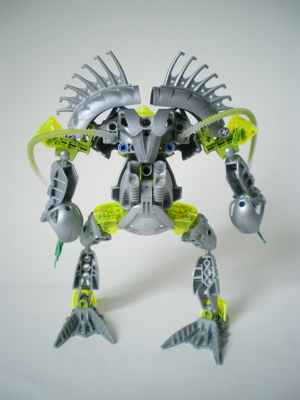 imgp4108.jpg