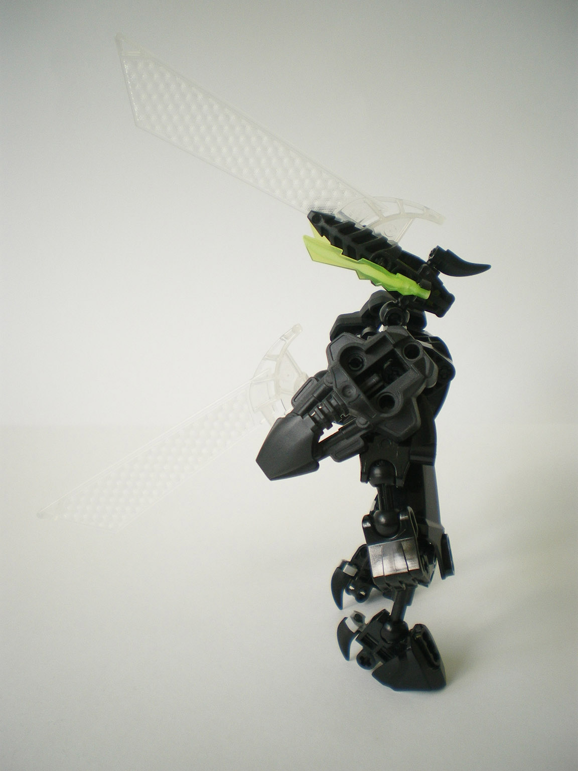 imgp5452.jpg