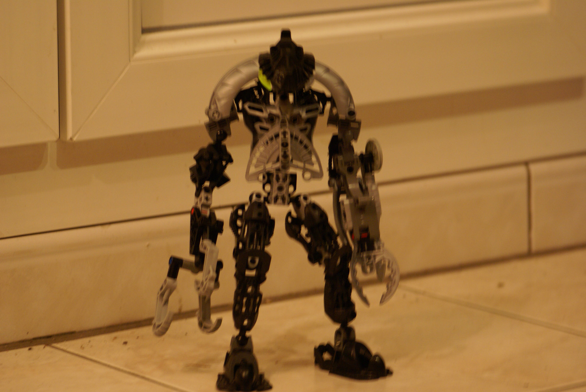 dsc00236.jpg