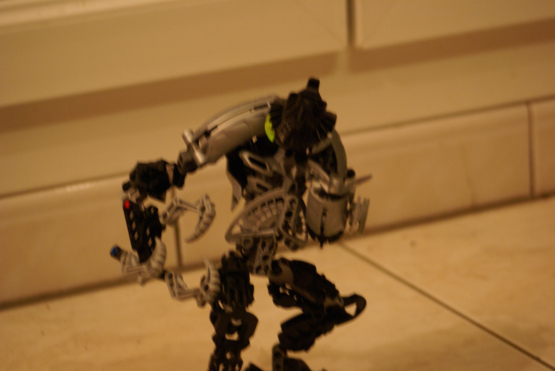 dsc00238.jpg