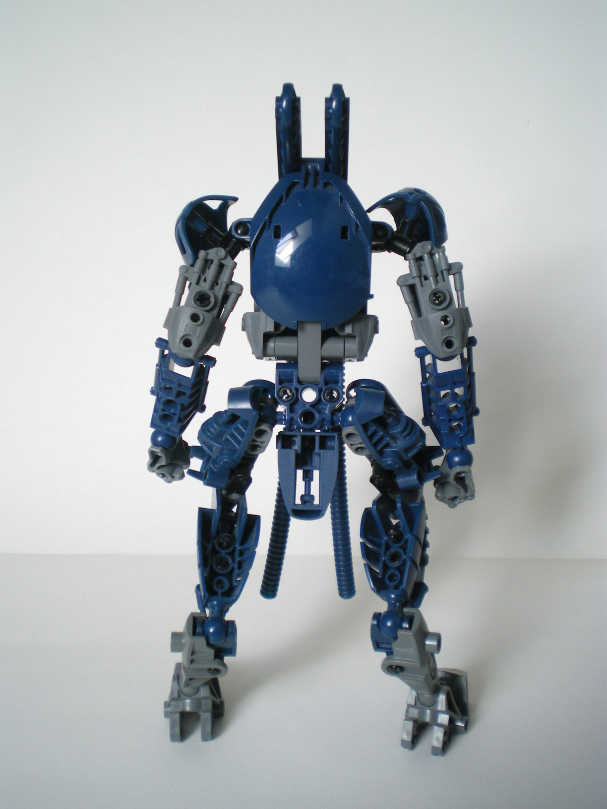 imgp7753.jpg