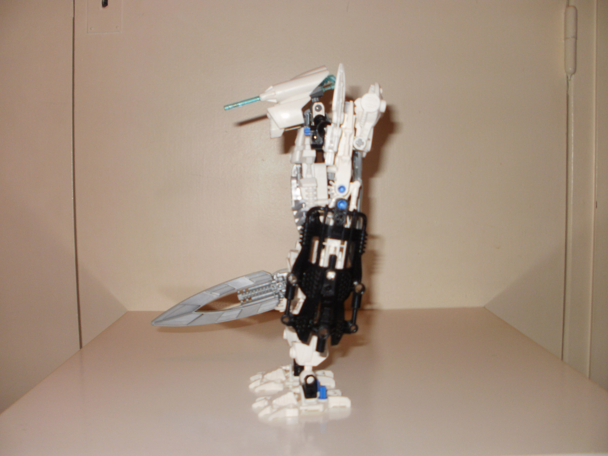 pc290095.jpg