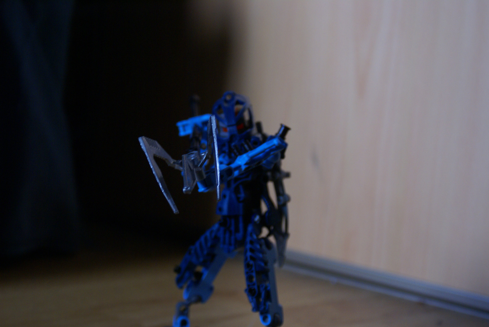 dsc01290.jpg
