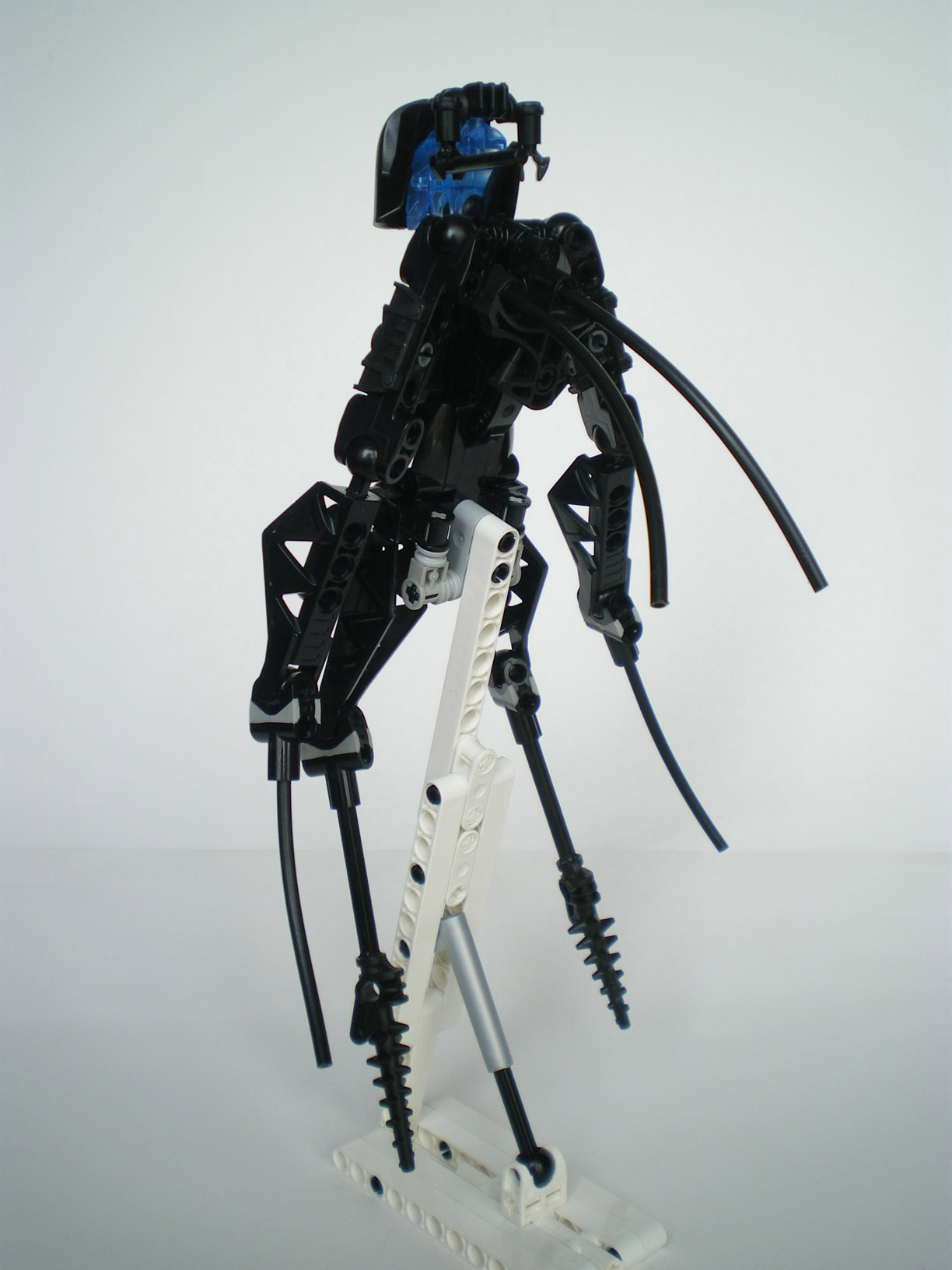 imgp5850.jpg