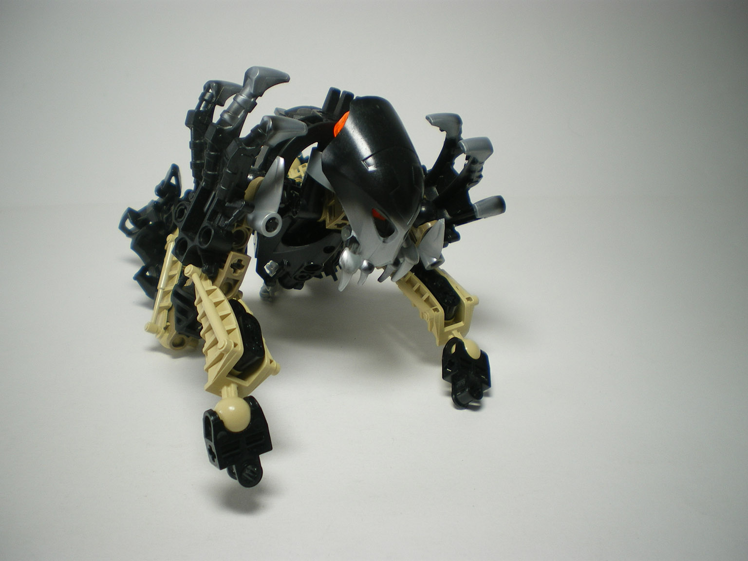 imgp2049.jpg