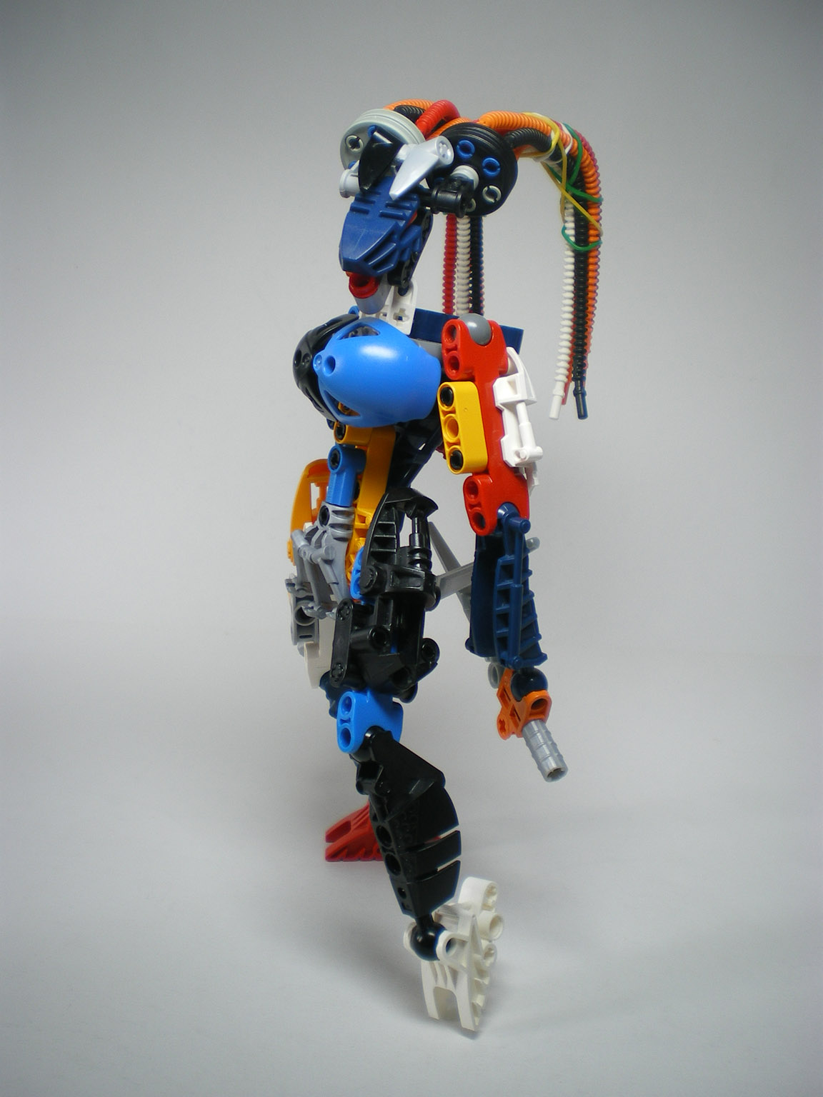 imgp1494.jpg