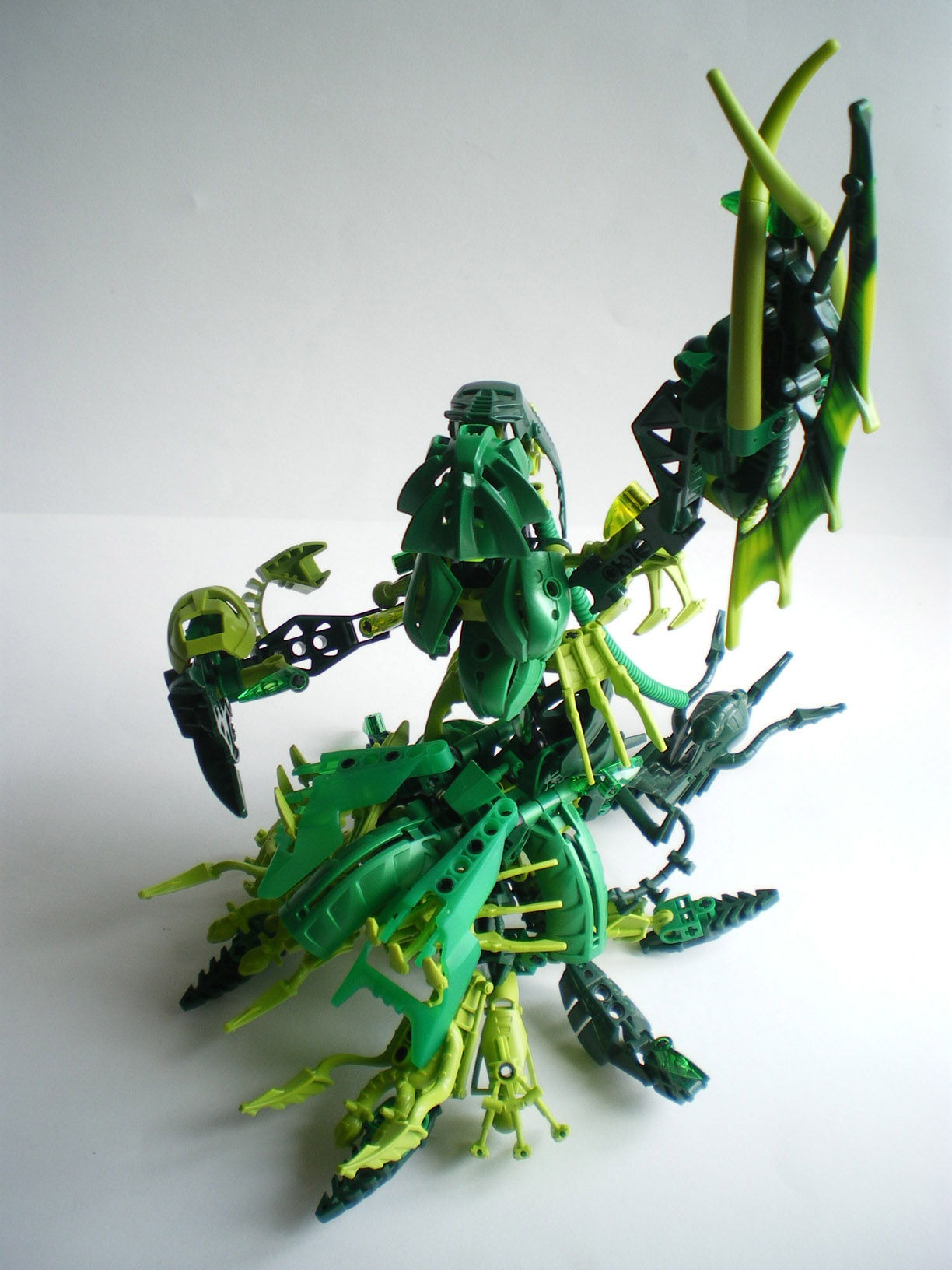 imgp1414.jpg