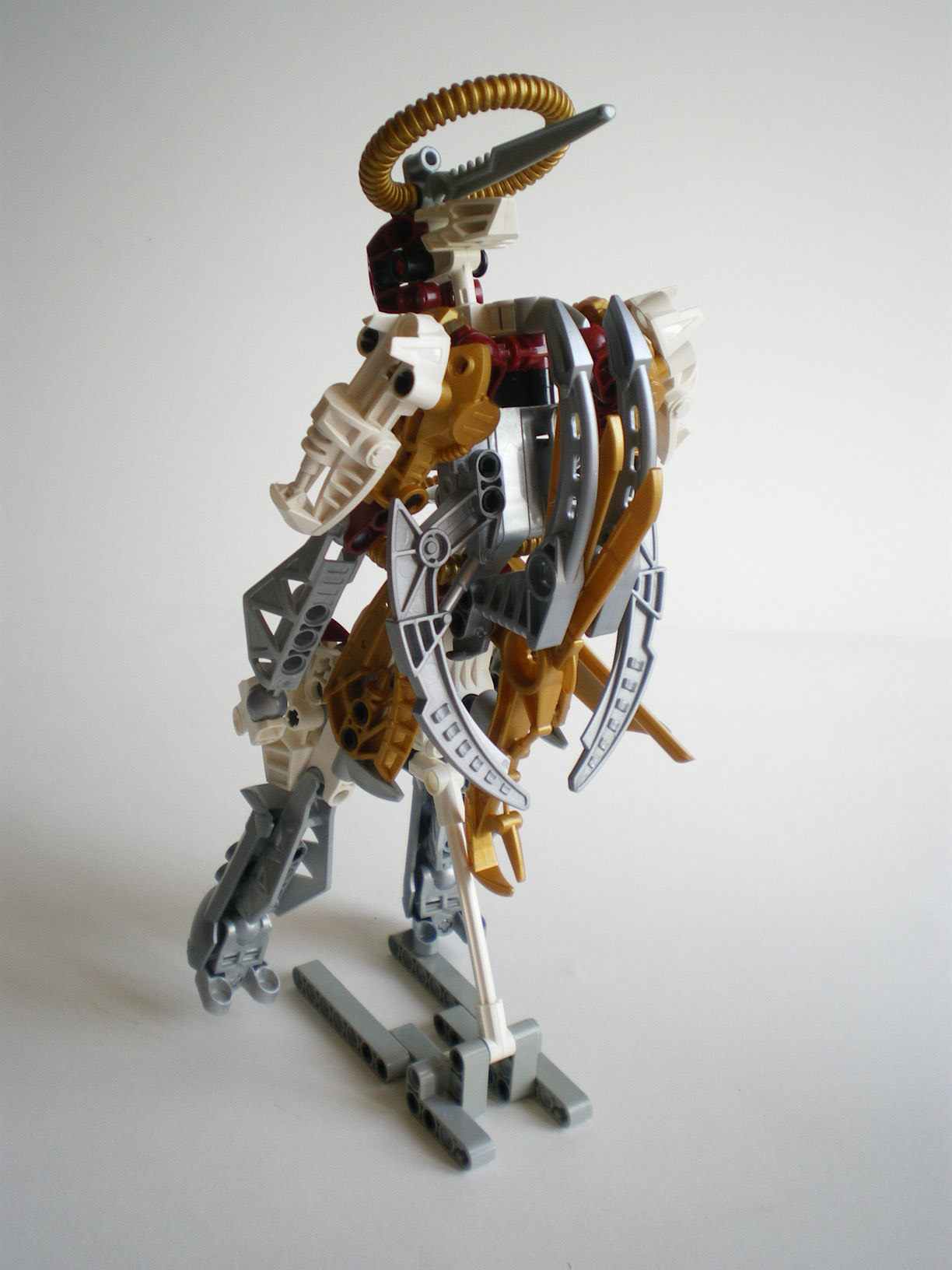 imgp9506.jpg