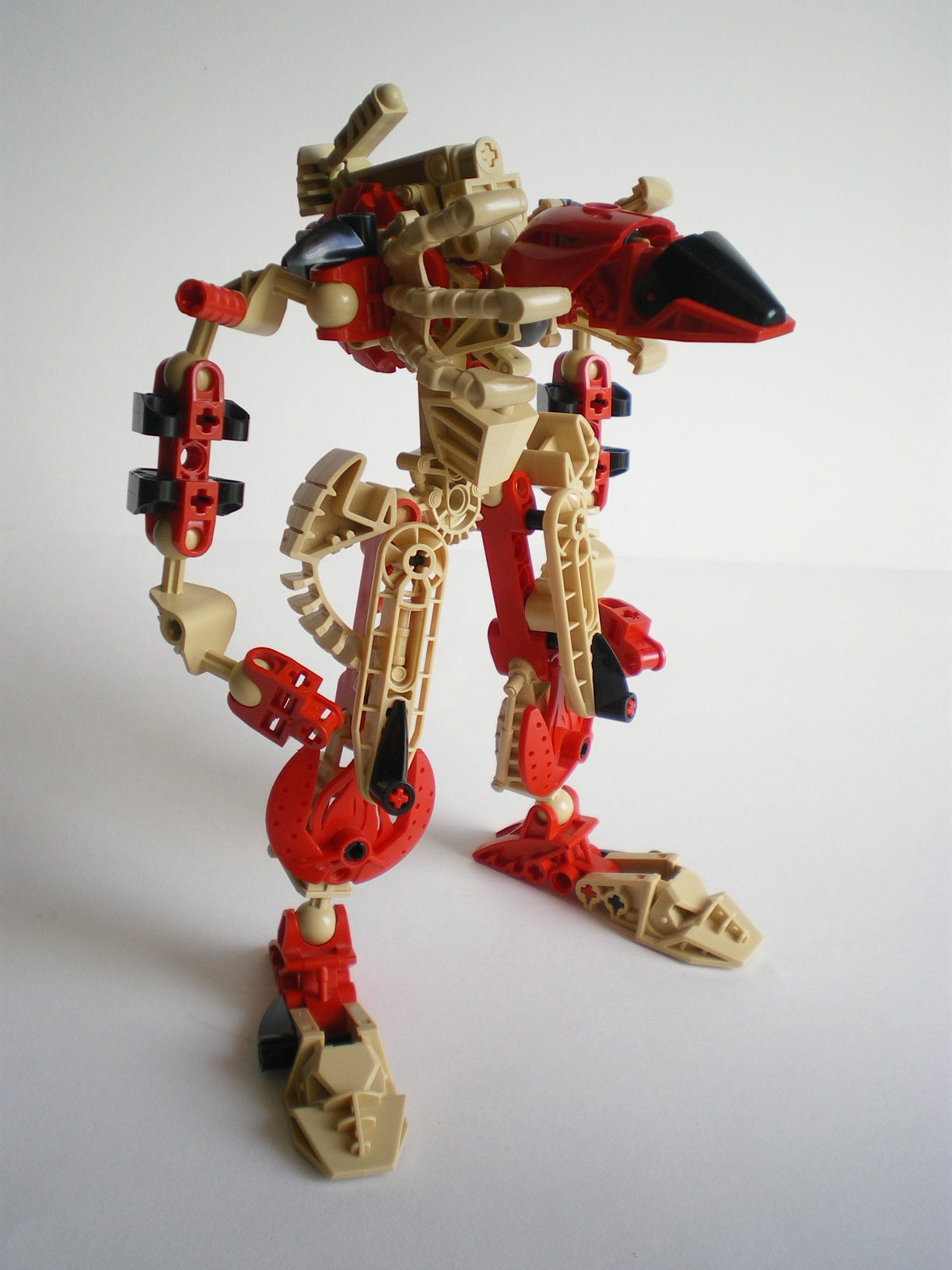 imgp9310.jpg