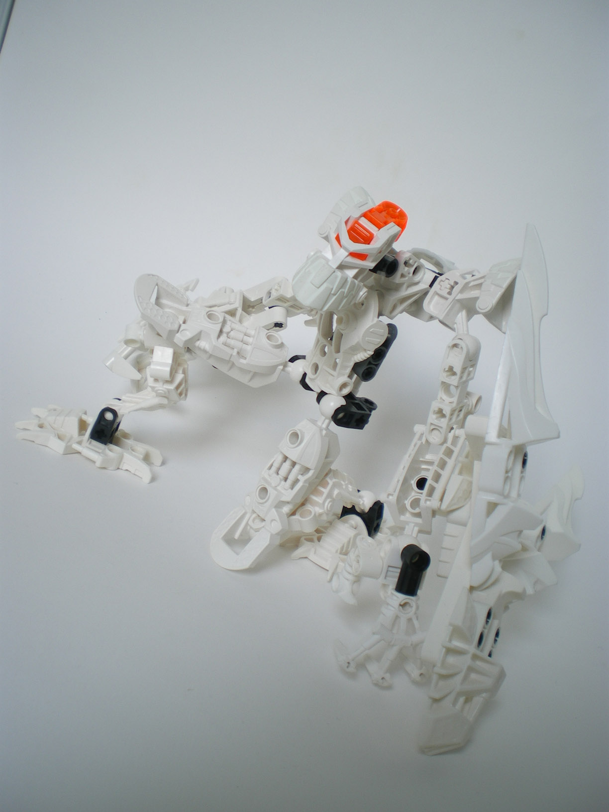 imgp6500.jpg