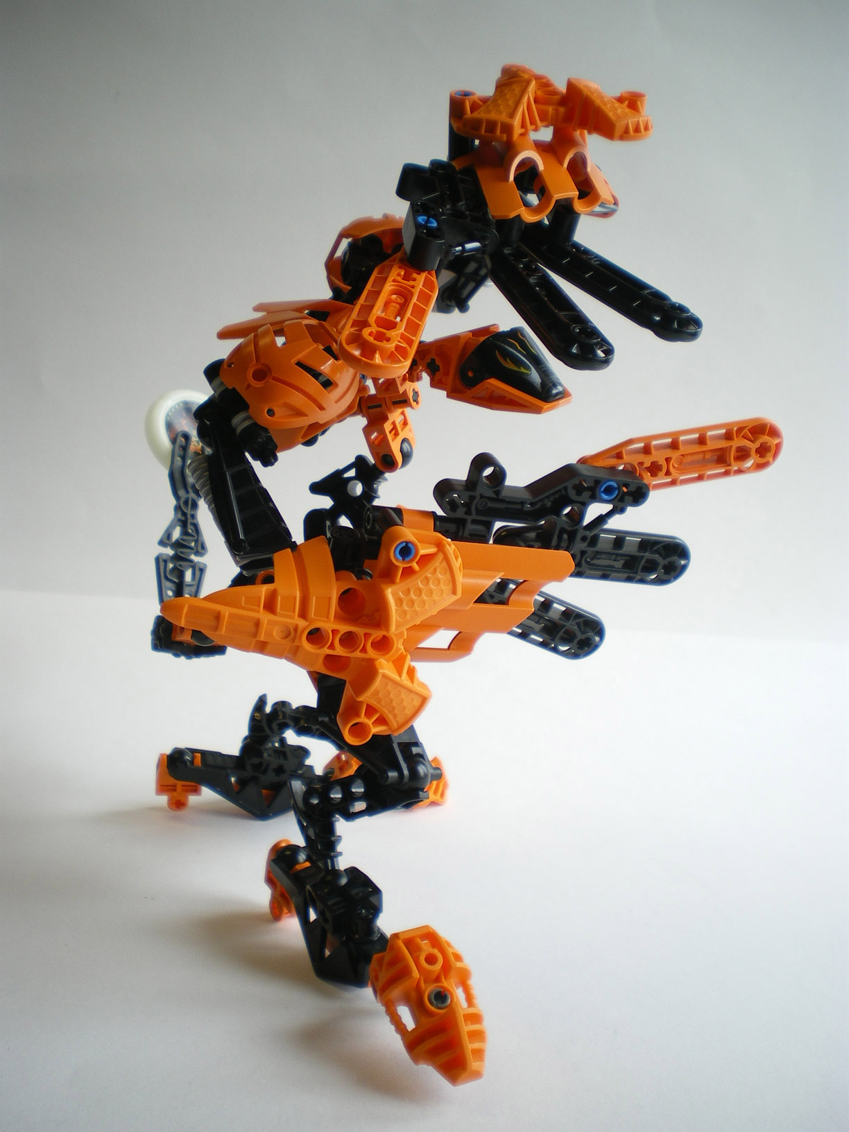 imgp2219.jpg