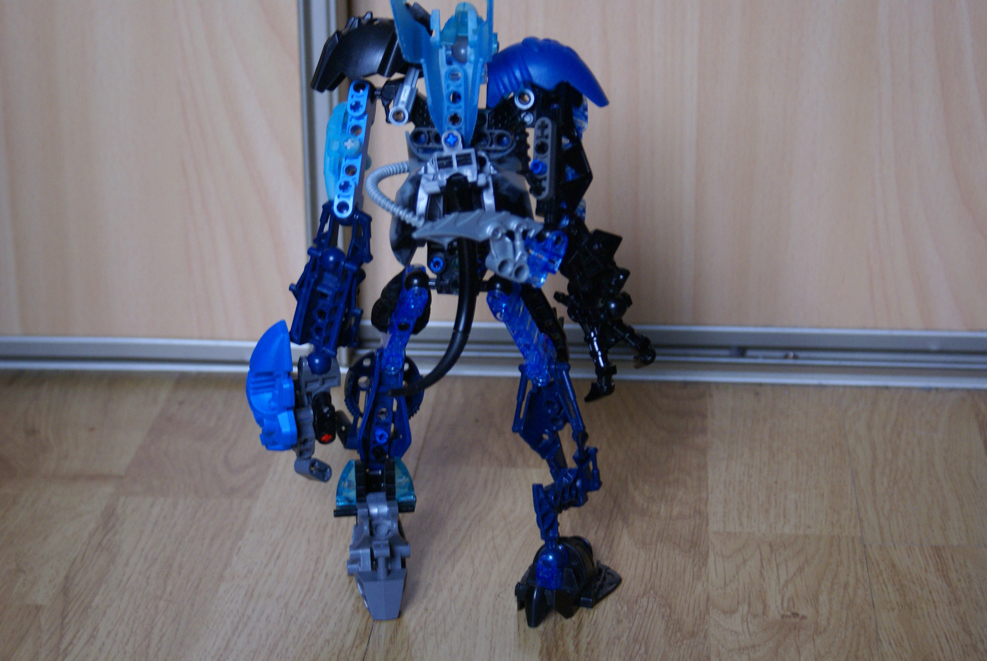dsc01439.jpg