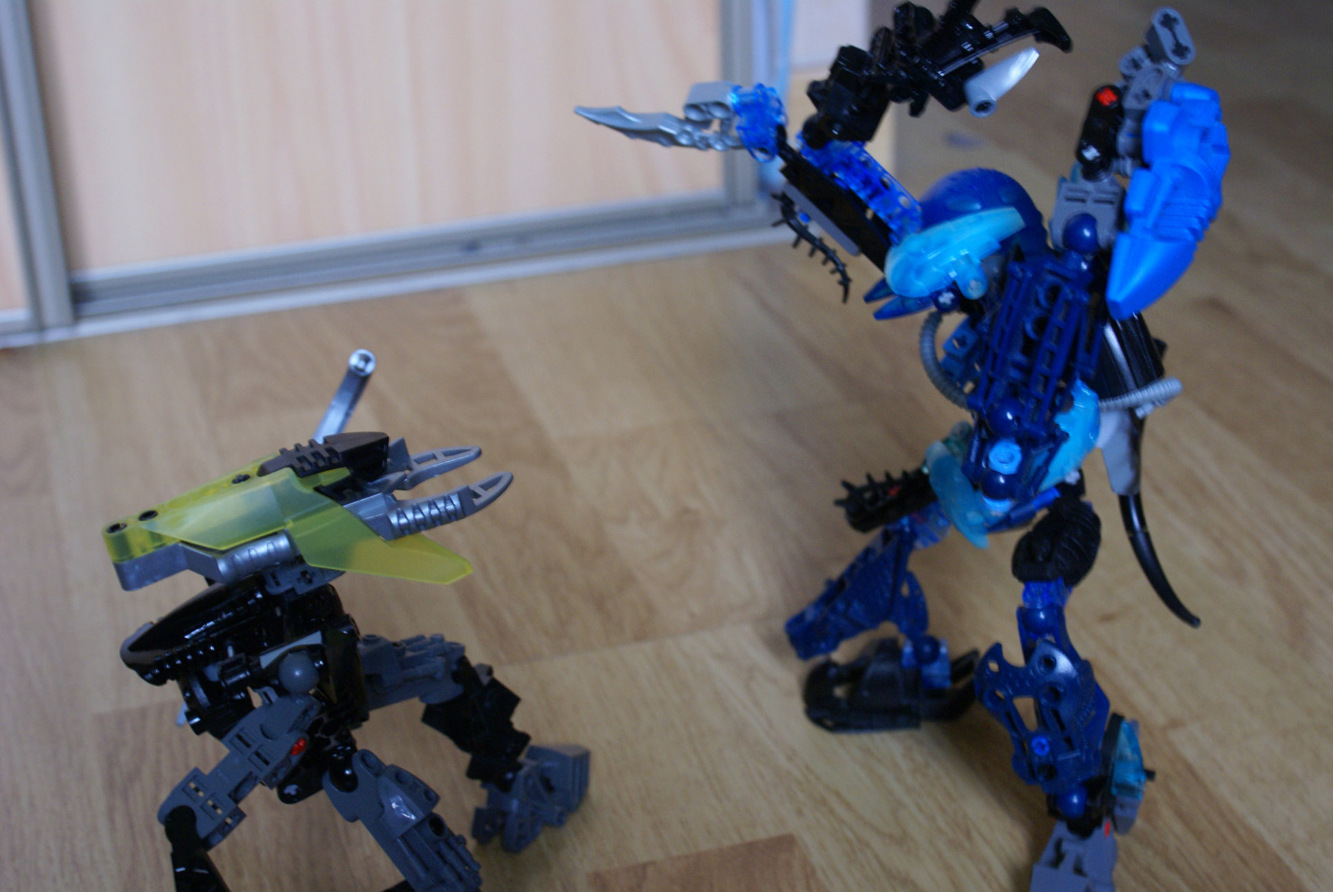 dsc01447.jpg
