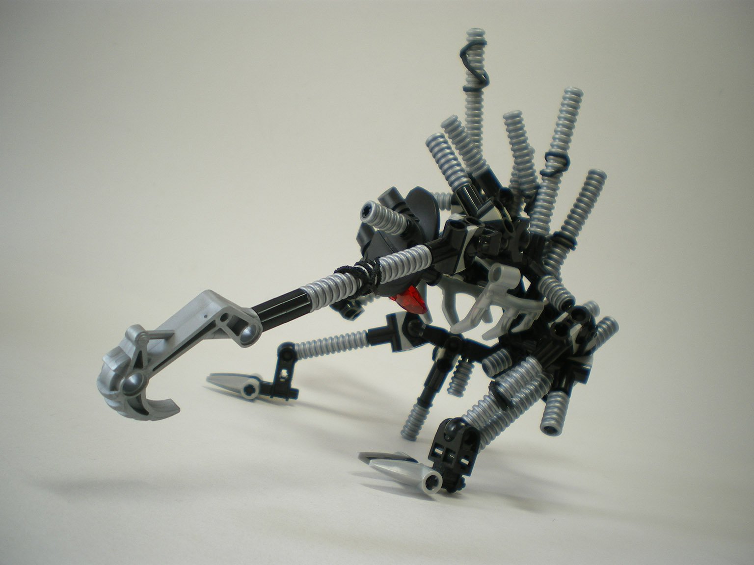imgp1891.jpg