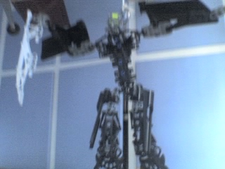 06-07-09_1744.jpg
